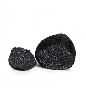 Черный благородный трюфель Tuber Melanosporum Vitt, 1 кг Черный благородный трюфель Tuber Melanosporum Vitt, 1 кг
