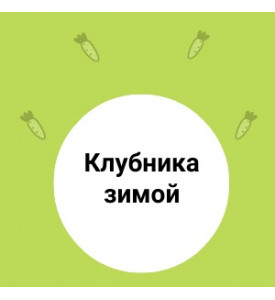 КЛУБНИКА зимой