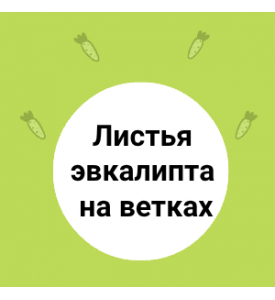 Эвкалипт в кулинарии: свежие листья  в кулинарии