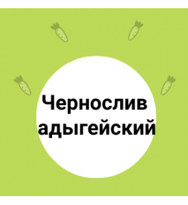 Свежее поступление сливы