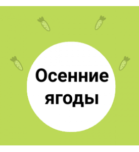 Осенние ягоды
