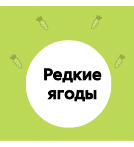 Ягодные путешествия: где растут самые редкие ягоды?
