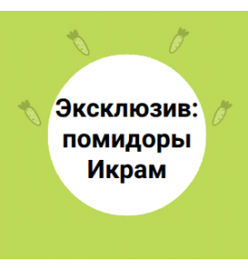 Эксклюзив: помидоры Икрам