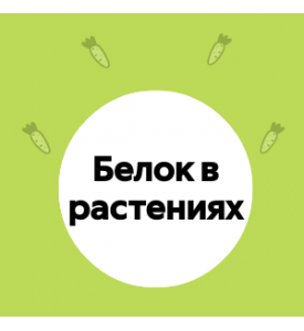 Энергия растительного белка