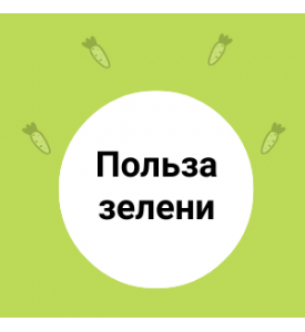 Польза зелени: почему она должна быть в каждом рационе?