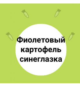 Картофель синеглазка 