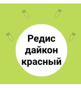 Редис дайкон красный:  новинка в нашем магазине
