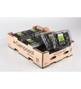 Голубика Чили, коробка 1,5 кг Голубика Чили, коробка 1,5 кг