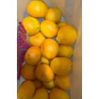 Мандарины Нова, с косточкой 1 кг Мандарины Нова, с косточкой 1 кг