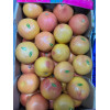 Упаковка грейпфрутов, 18 кг