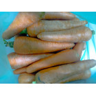 Морковь молодая, 1 кг