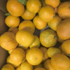 Ящик Пакистанских мандаринов, 10 кг Ящик Пакистанских мандаринов, 10 кг