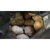 Картофель большой гриль, 1 кг Картофель большой гриль, 1 кг