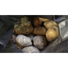 Картофель большой гриль, 1 кг