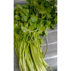 Кинза свежая, 100 г
