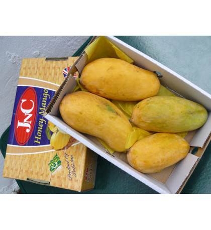Манго Синдри, коробка 1,5 кг