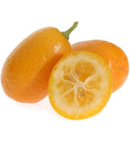 Кумкват , 1 кг Кумкват , 1 кг
