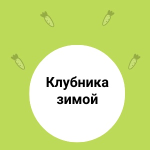 КЛУБНИКА зимой