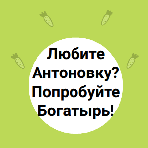  Любите Антоновку? Попробуйте Богатырь!