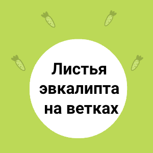 Эвкалипт в кулинарии: свежие листья  в кулинарии