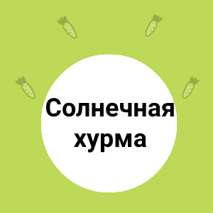 Солнечная хурма