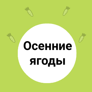 Осенние ягоды