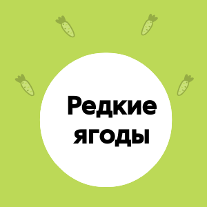 Ягодные путешествия: где растут самые редкие ягоды?