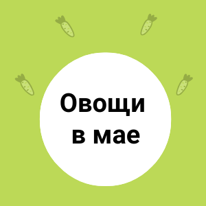 Овощи в мае