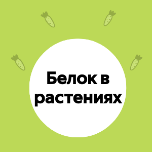 Энергия растительного белка