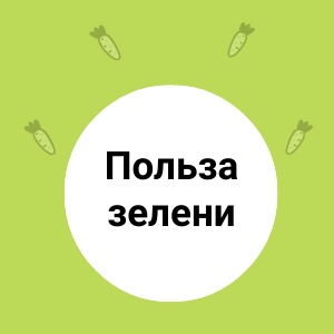 Польза зелени: почему она должна быть в каждом рационе?