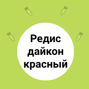 Редис дайкон красный:  новинка в нашем магазине