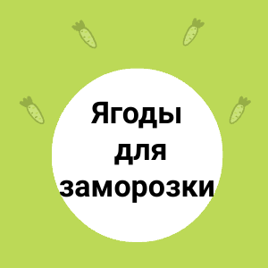 Ягоды для заморозки