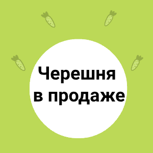 Сладкий сюрприз от лета: черешня в продаже!