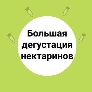 Большая дегустация нектаринов!