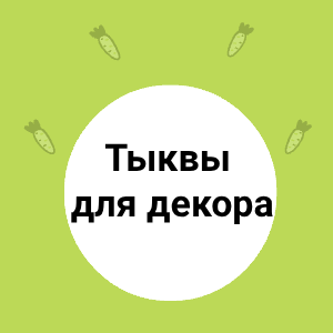 Тыквы для декора: разнообразие форм и цветов!