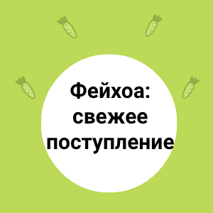 Фейхоа: свежее поступление