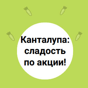 Канталупа: сладость по акции!